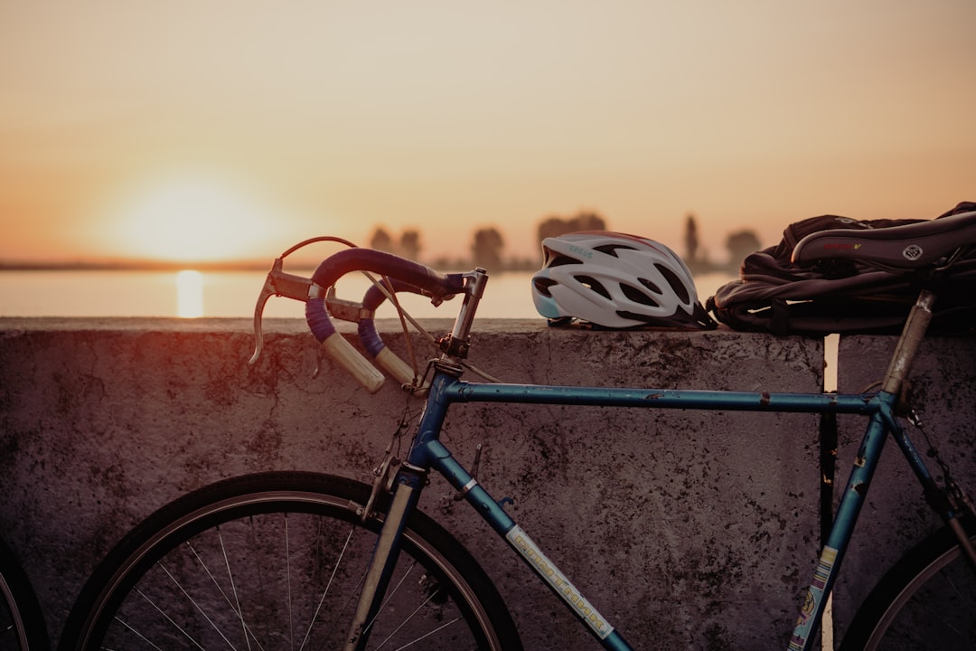 Group of road cyclists riding together outdoors on paved roads.