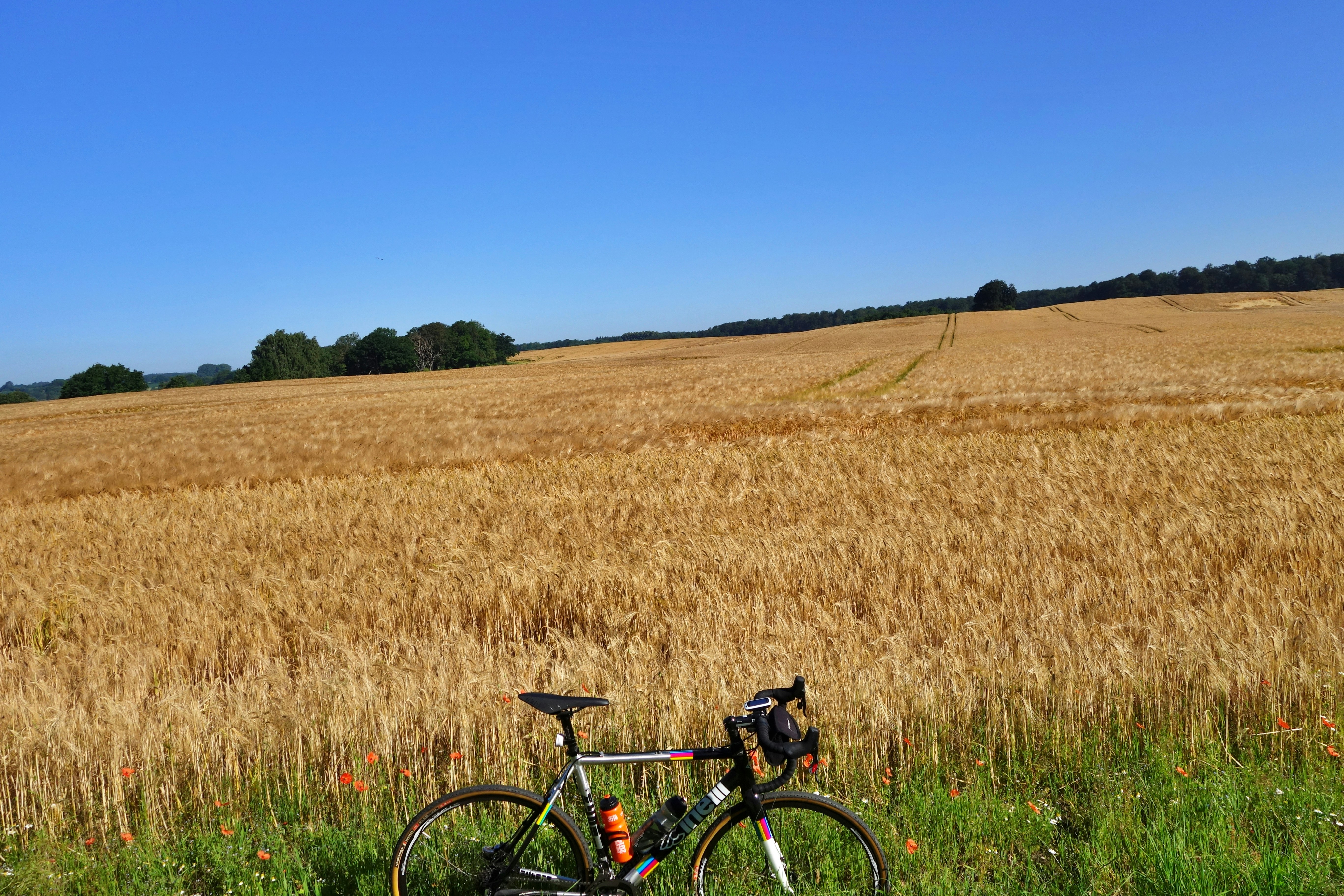 Cyclist riding a road bike outdoors in real conditions.