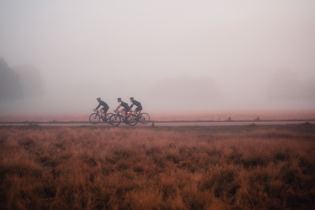 Group of road cyclists riding together outdoors on paved roads.