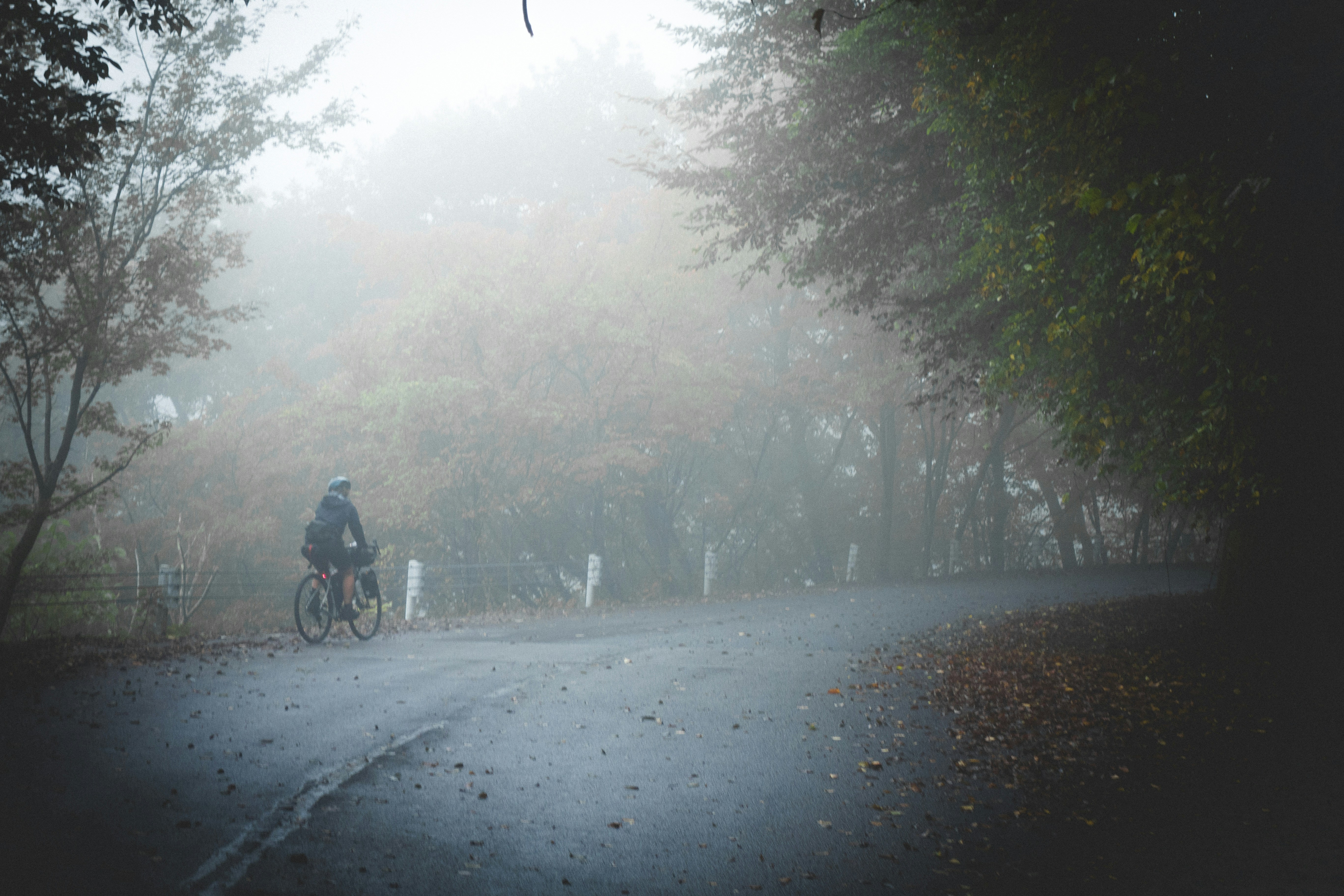 Cyclist riding a road bike outdoors in real conditions.