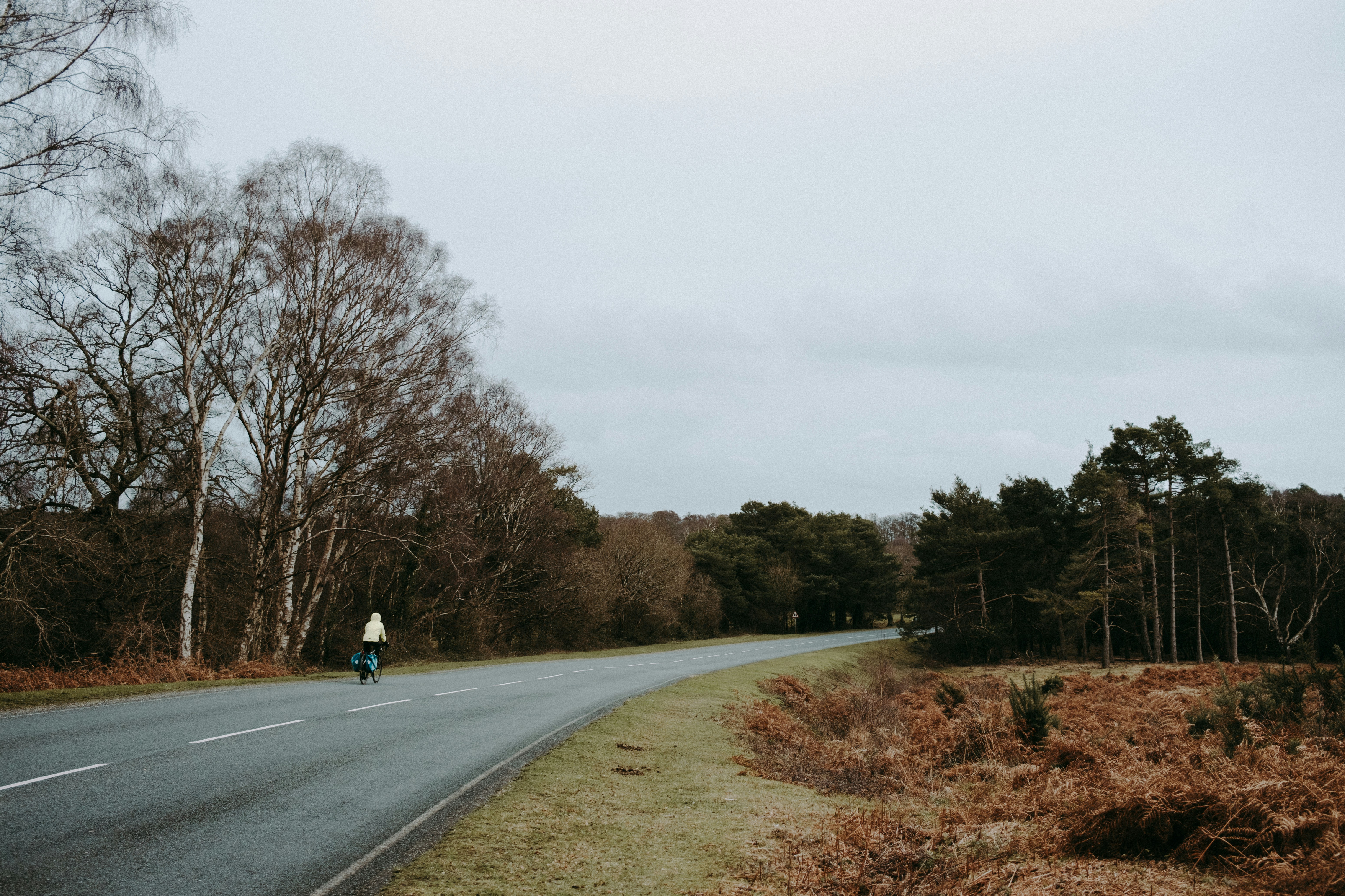 Cyclist riding a road bike outdoors in real conditions.