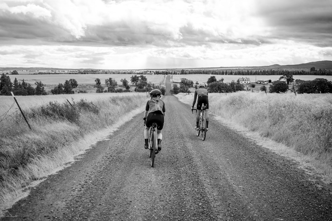 Group of road cyclists riding together outdoors on paved roads.
