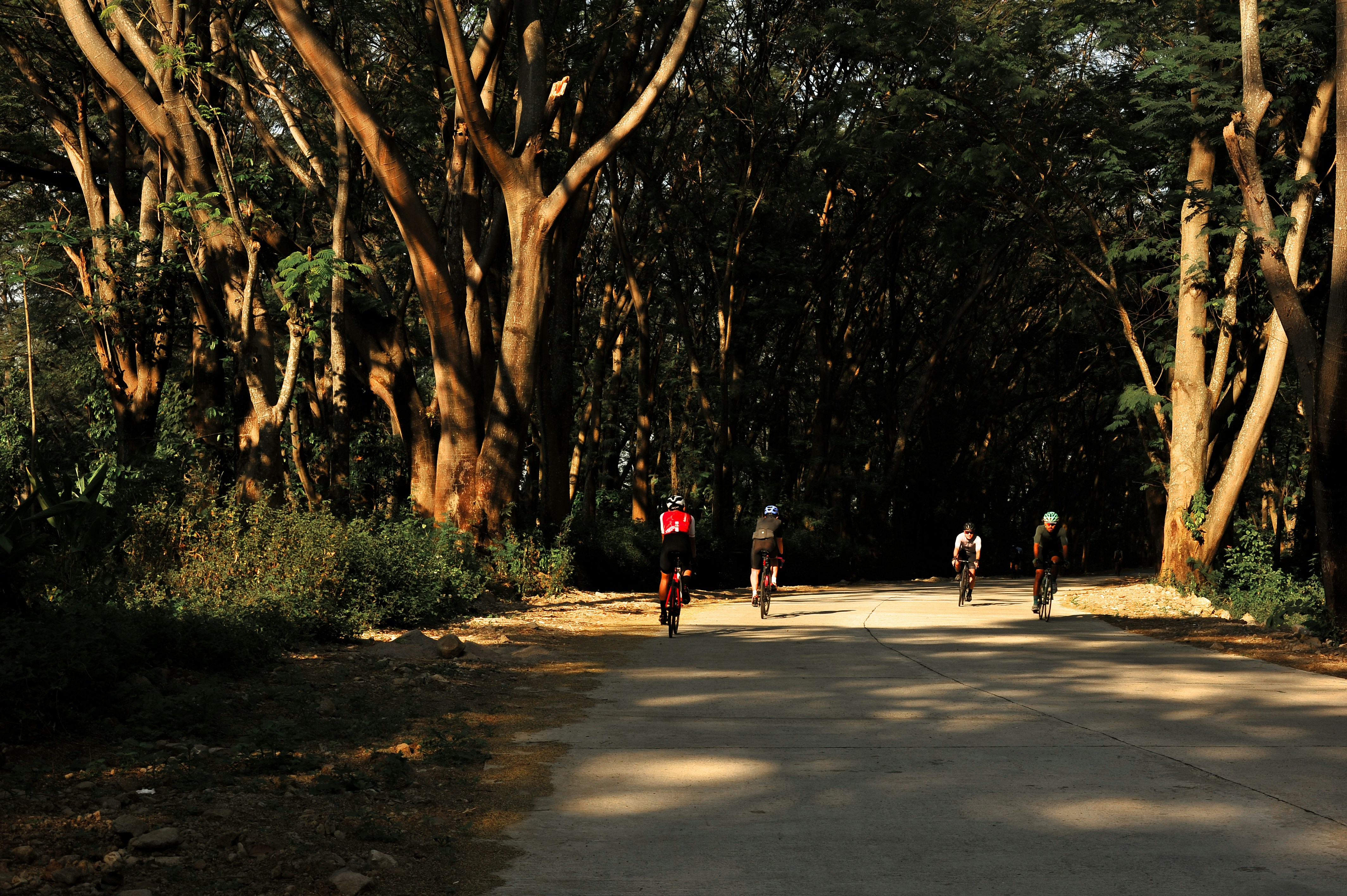 Cyclist riding a road bike outdoors in real conditions.