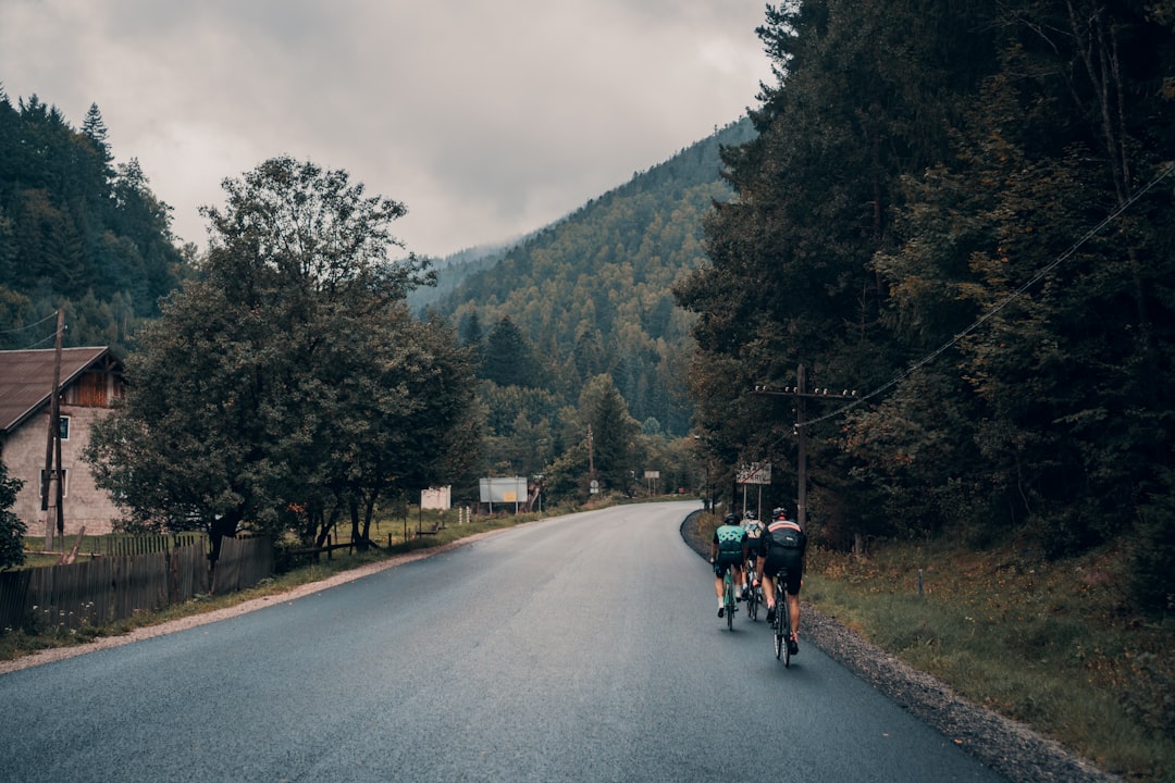 Group of road cyclists riding together outdoors on paved roads.