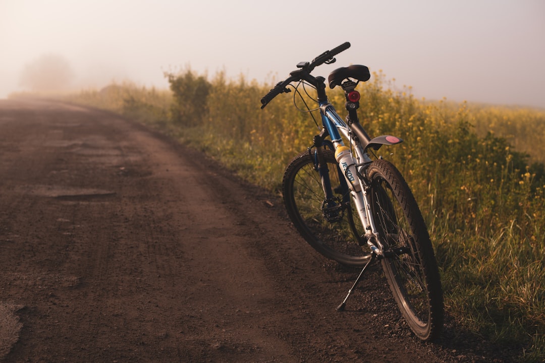 Group of road cyclists riding together outdoors on paved roads.