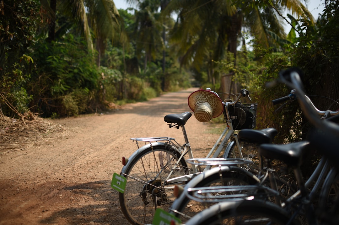 Group of road cyclists riding together outdoors on paved roads.