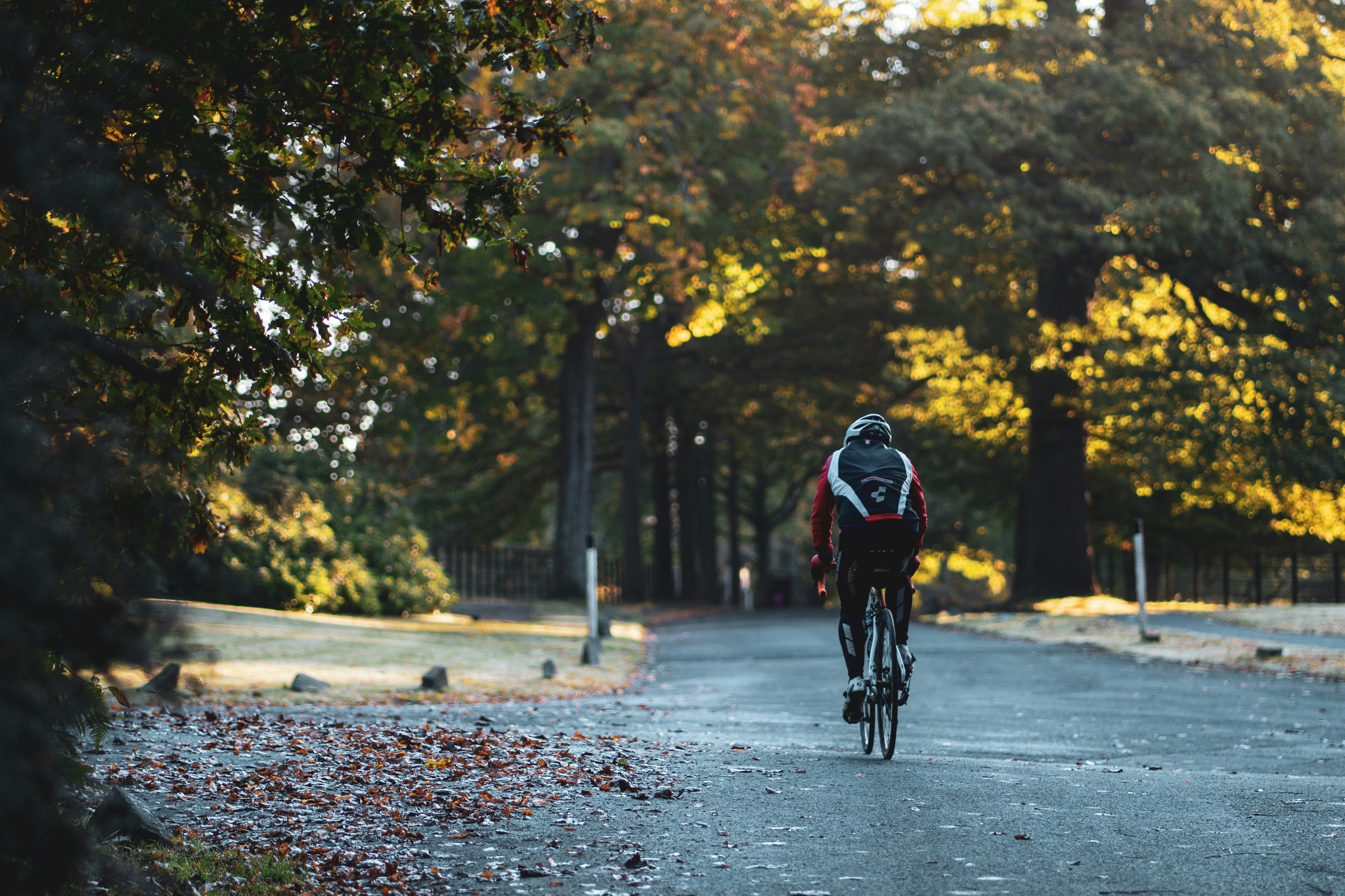 Cyclist riding a road bike outdoors in real conditions.