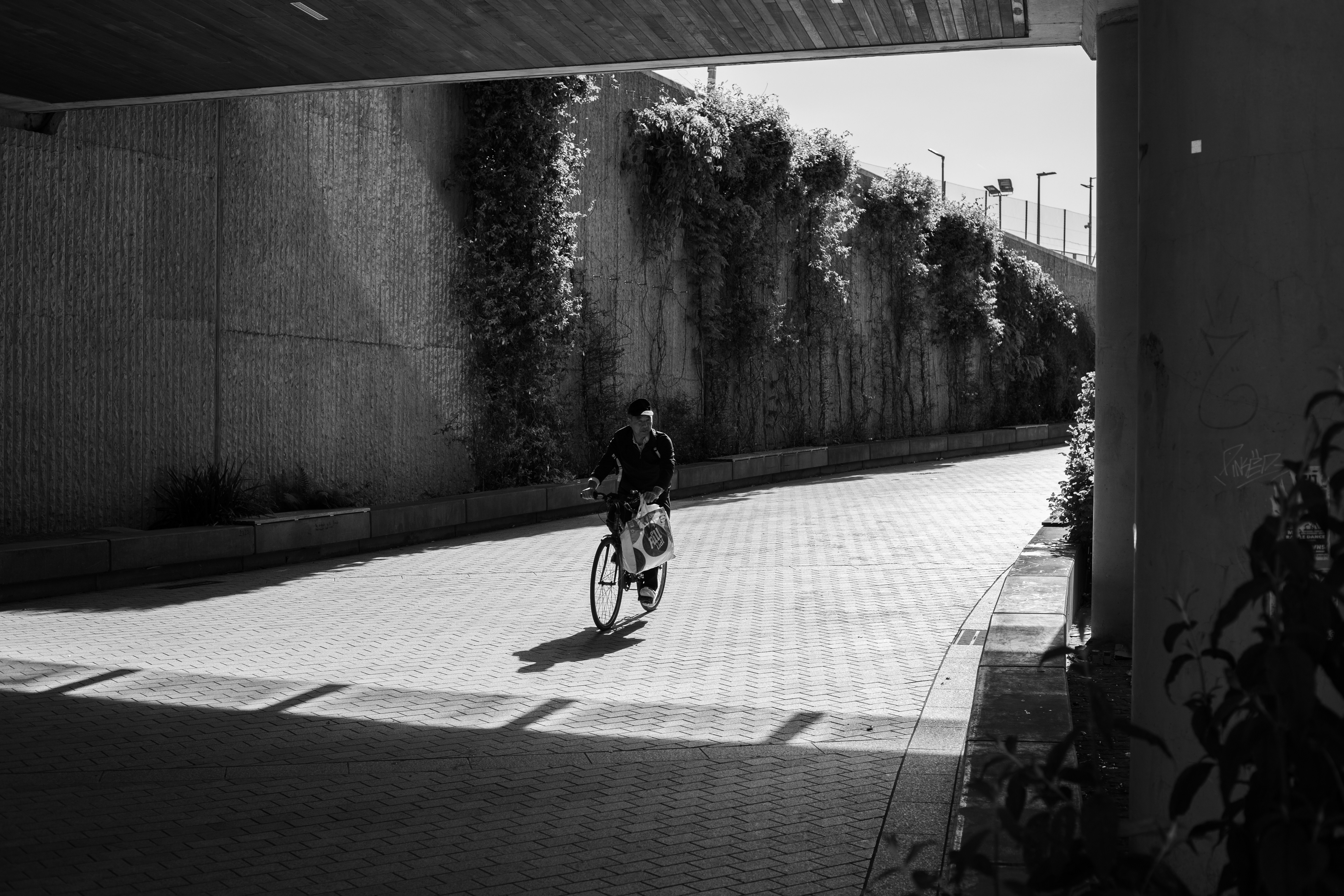 Cyclist riding a road bike outdoors in real conditions.