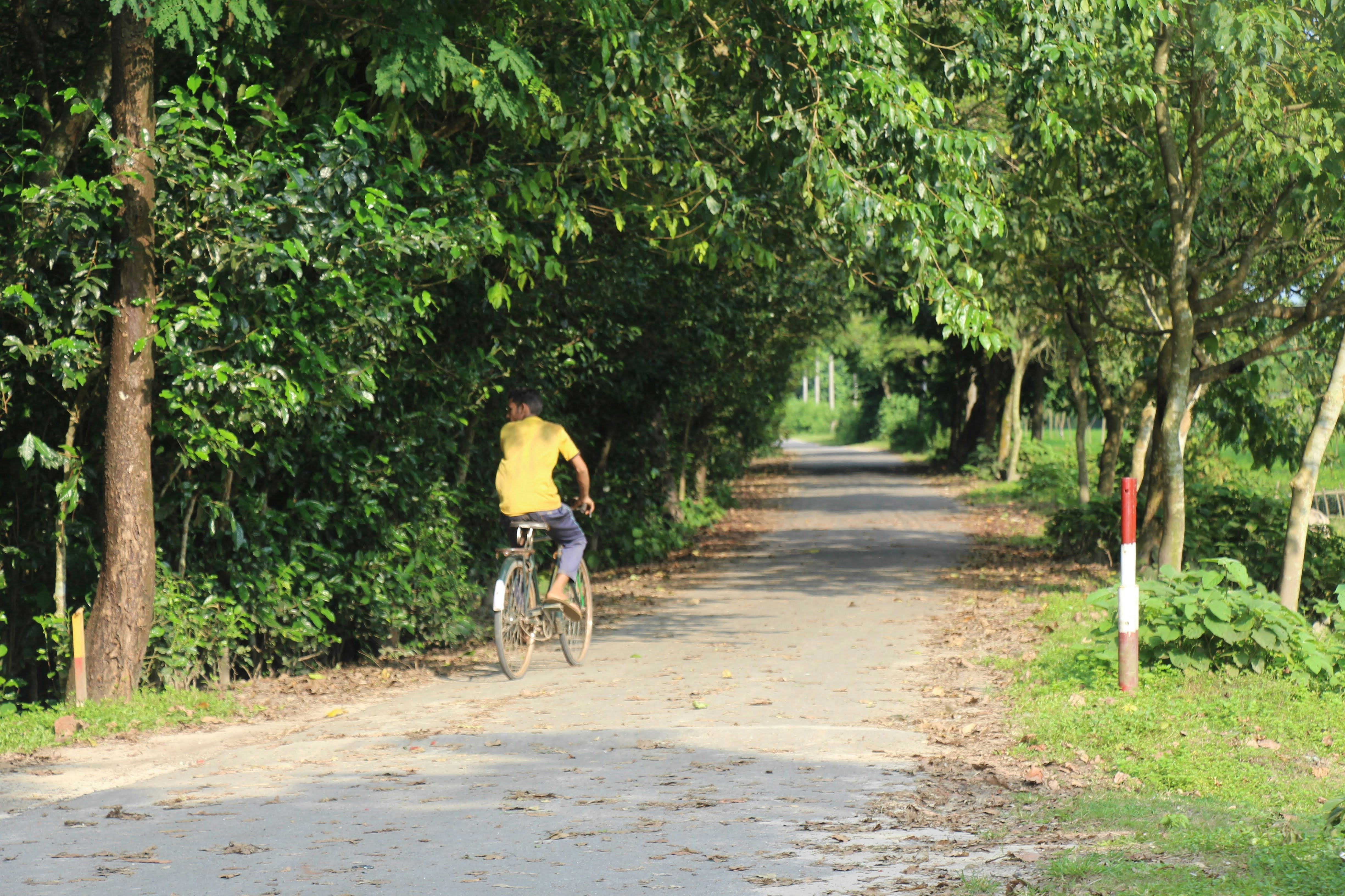 Cyclist riding a road bike outdoors in real conditions.